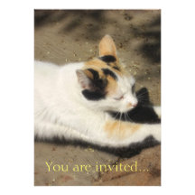 Not Very Friendly Cat Stretch Personalized Announcement