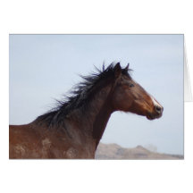 Note Card