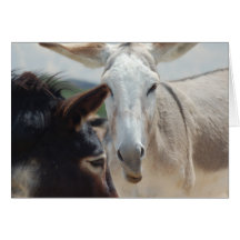 Note Card