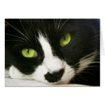 Note Card