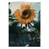 Note Card / Sunflower / Sally Coupe Jacobson
