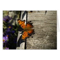 Note Card with Comma Butterfly