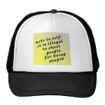 Note To Self: It Is Illegal To Shoot People For Mesh Hat