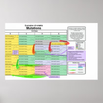 Noteable Mutations by Genetic Code of Amino Acids Poster