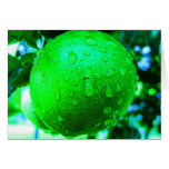 Notecard-Food/Drink-101