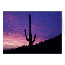 Notecard Marshmellow pink Sunset Arizona