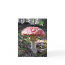 Notecard-Mushroom