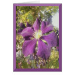 Notecard Passionate Purple Flower