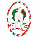 Nothin' Butt An Akita Christmas Ornament photo sculptures