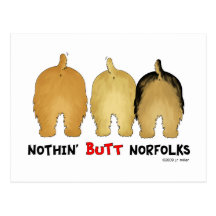 Nothin' Butt Norfolks Post Card