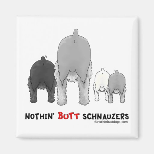 Nothin' Butt Schnauzers Fridge Magnets