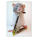 Nothing Is Impossible Greeting Cards