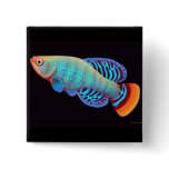 Nothobranchius rachovii Killifish Pin