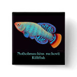 Nothobranchius rachovii Killifish Pin buttons