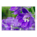 Notice Beauty cards