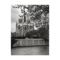 Notre Dame Cathedral Postcard