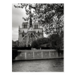 Notre Dame Cathedral Postcard