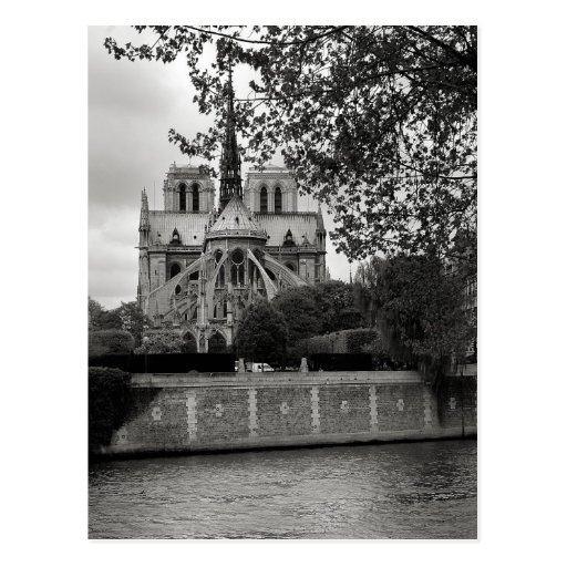 Notre Dame Cathedral Postcard