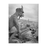 Notre Dame Gargoyle Postcard