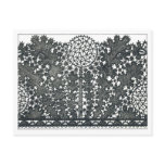 Nouveau Black Lace Postcard