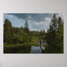 Nova Scotia Wetlands fine art print
