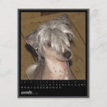 november 2012 calendar personalised flyer
