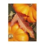 November Design Postcard