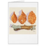 NOVEMBER ON THE EDGE OF APPLETON FARM Card