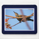 November Skies Mouse Mat