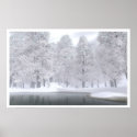November Snow posters