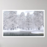 November Snow posters