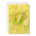 NOVINO Sunflower for Healing Energy invitations