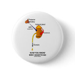 Now You Know Why I Have To Go (Diuresis) Button