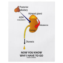 Now You Know Why I Have To Go (Diuresis)