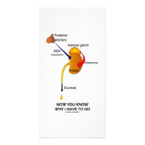 Now You Know Why I Have To Go (Diuresis)