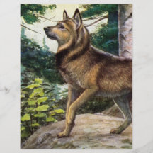 Nowegian elkhound full color flyer
