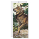 Nowegian elkhound rack cards