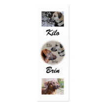 Nowzad Rescue Dogs Bookmark Business Card