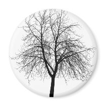 NU MAGNET