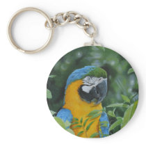 Nuanced Key Chains
