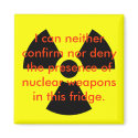 Nuclear Denial magnets