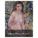 Nude In The Sun,  By Pierre-Auguste Renoir flyers