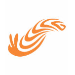 Nudibranch t-shirts