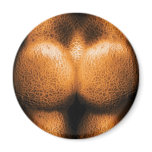 Nudist - Just Cheeky magnets