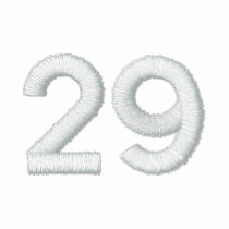 Number 29 embroidered shirt