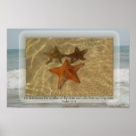 Number The Stars Print