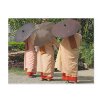 Nuns collecting alms postcard