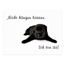 Nur Mut Postkarte