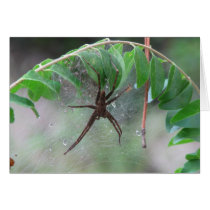 Nurse Spider and Young Greeting Cards