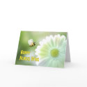 Nurses Week Bandaged Bee and Daisy cards